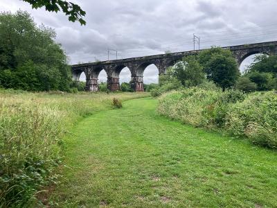 9 arches